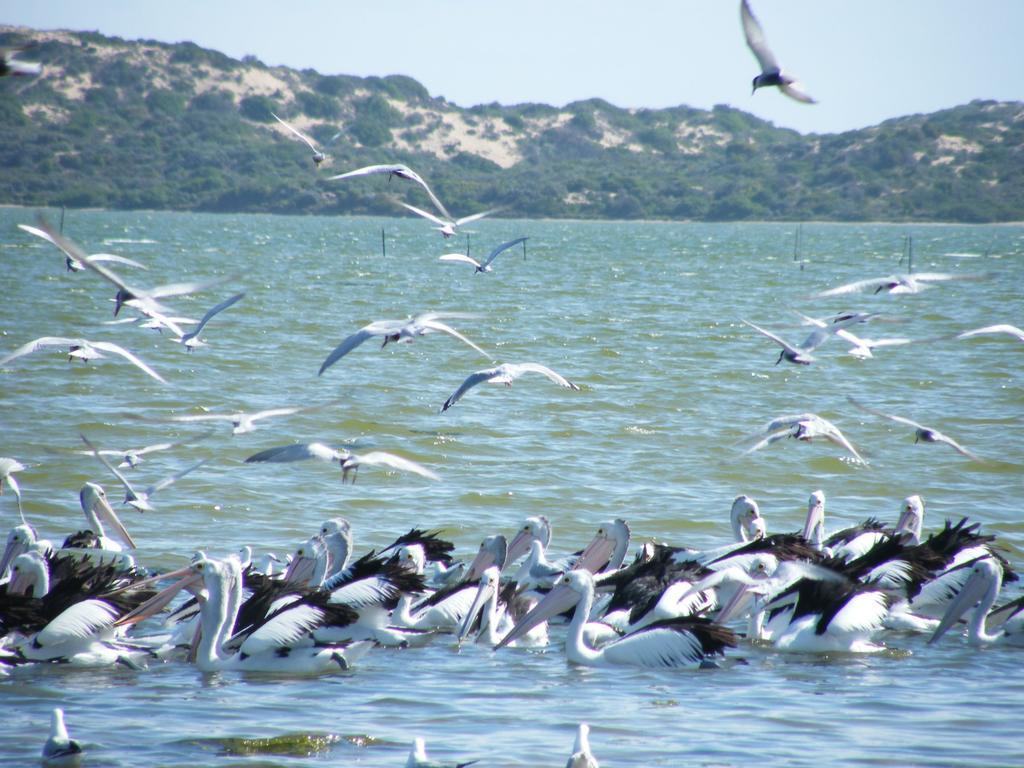 Coorong Waterfront Retreat Villa Meningie Exteriör bild