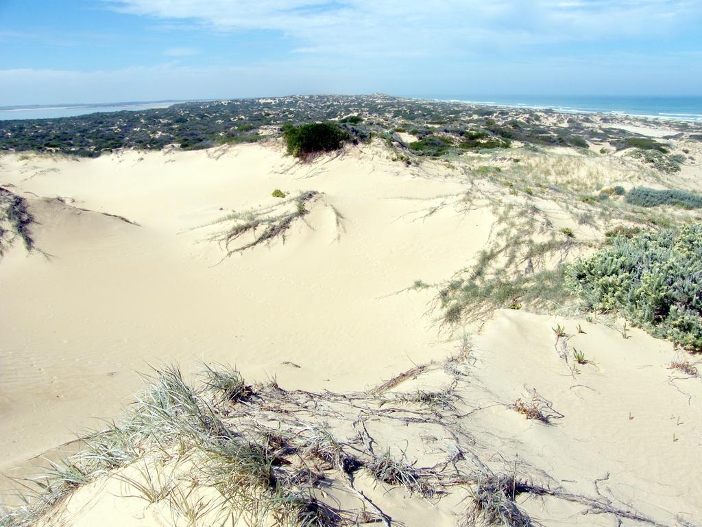 Coorong Waterfront Retreat Villa Meningie Exteriör bild